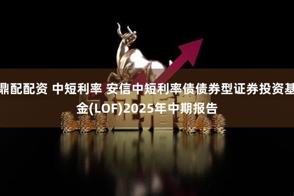 鼎配配资 中短利率 安信中短利率债债券型证券投资基金(LOF)2025年中期报告