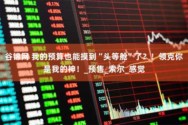 谷锦网 我的预算也能摸到“头等舱”了？！领克你是我的神！_预售_索尔_感觉