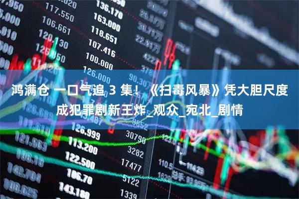 鸿满仓 一口气追 3 集！《扫毒风暴》凭大胆尺度成犯罪剧新王炸_观众_宛北_剧情