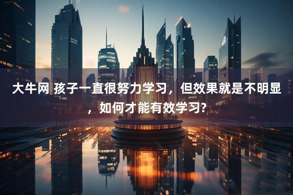 大牛网 孩子一直很努力学习，但效果就是不明显，如何才能有效学习?