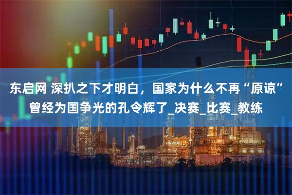 东启网 深扒之下才明白，国家为什么不再“原谅”曾经为国争光的孔令辉了_决赛_比赛_教练