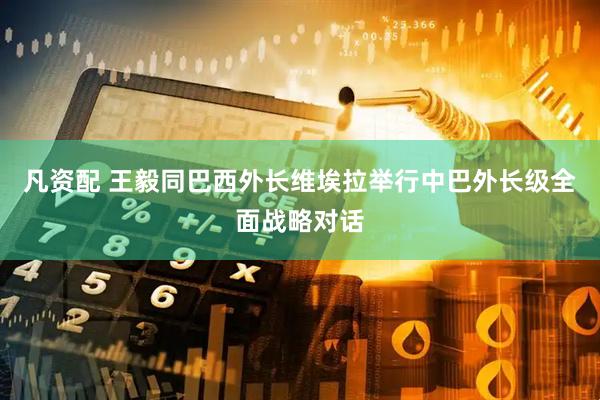 凡资配 王毅同巴西外长维埃拉举行中巴外长级全面战略对话